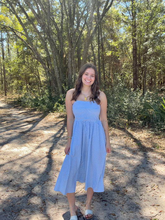 Spring is Near Midi Dress - Blue