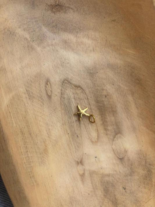 Gold hammered starfish Shell