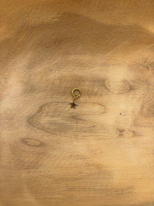 Gold Tiny Star Charm